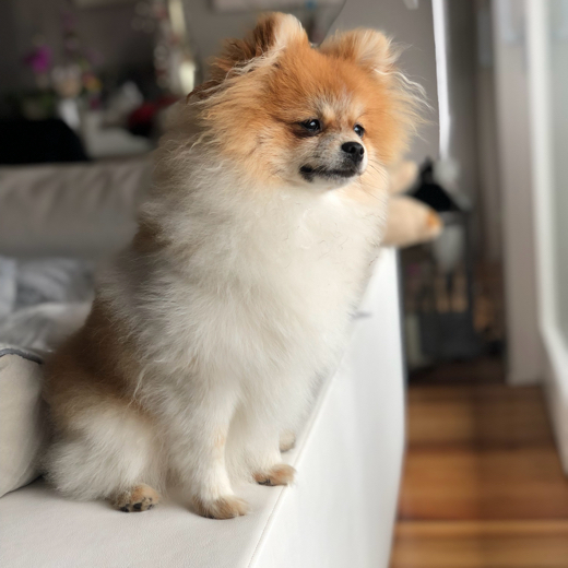 Matti04