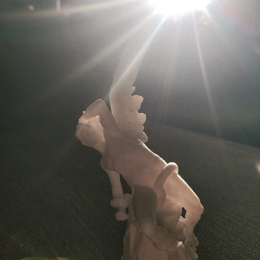 profile