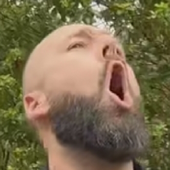 Jayxe