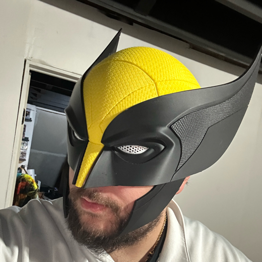 513D Prints