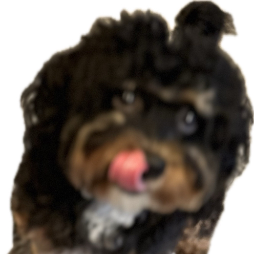 moosemello
