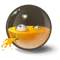 Cid