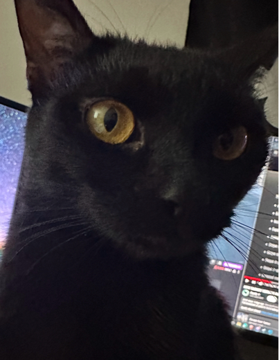 HackMy*