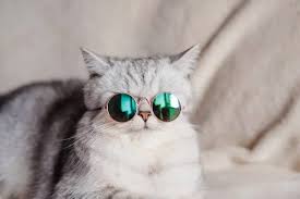 user_644721704