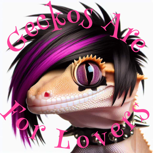 Geckos Are For Lovers