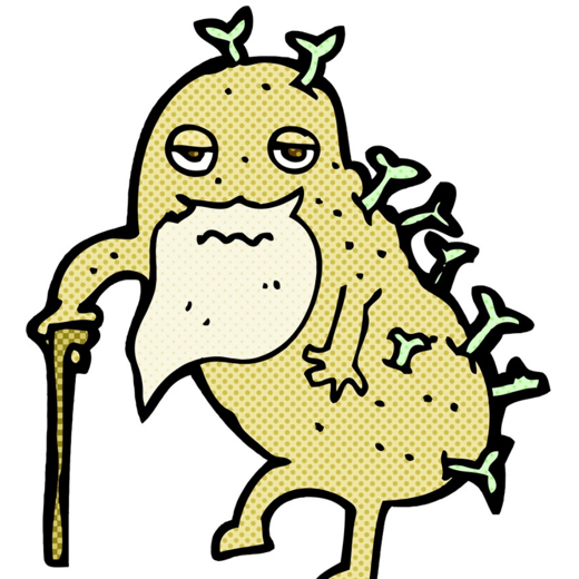classic potato