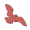 Kolibab