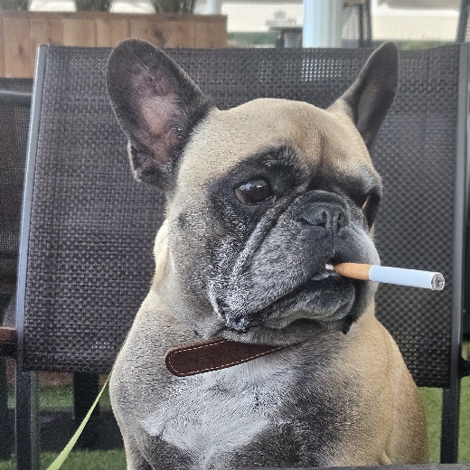 Ingmar