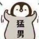 飞翔的小兽人