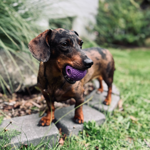 SanchoMakes