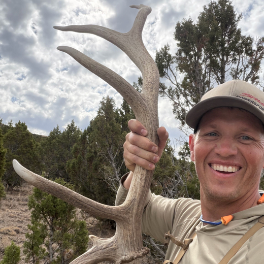 3D Antlerz