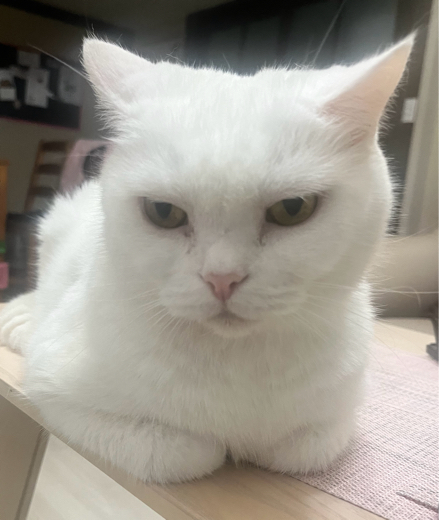 user_321175238