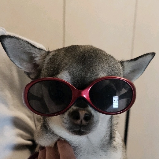 Marco