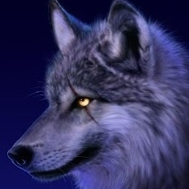 midnightwolf