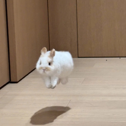 亦酌