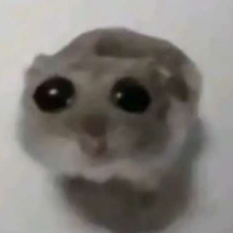 lilttle_guy
