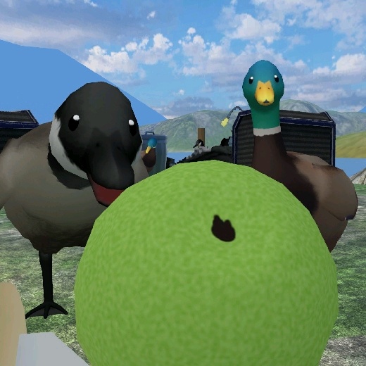 たいよう