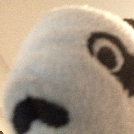 BobbyPanda