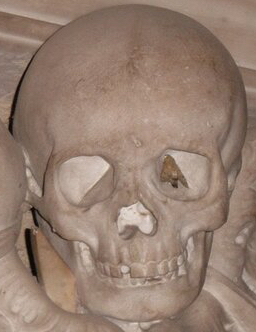 sainthein creator profile