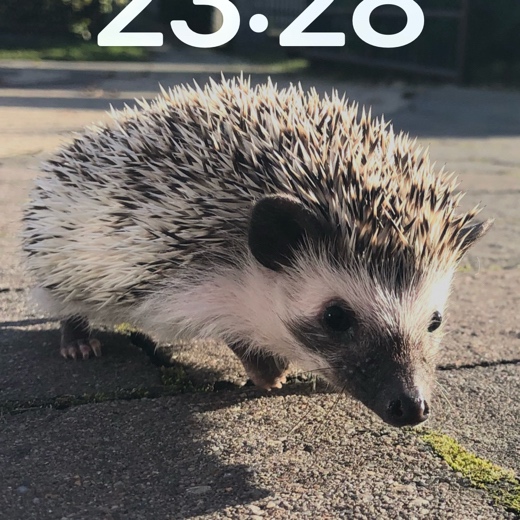 ORI_3D