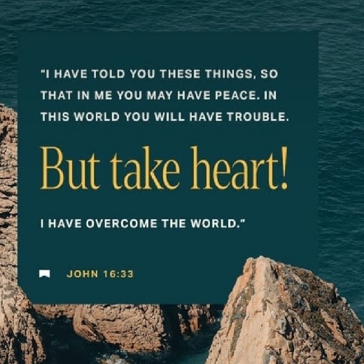 designer