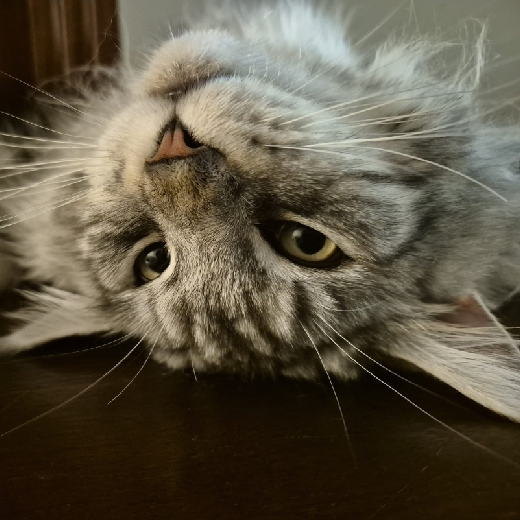 izaac