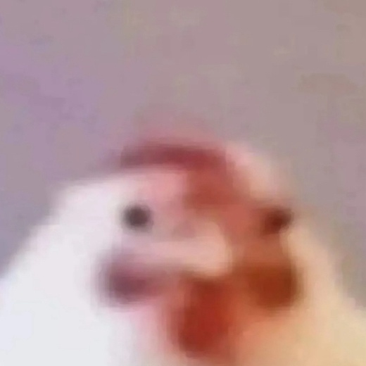 Jakob_NP
