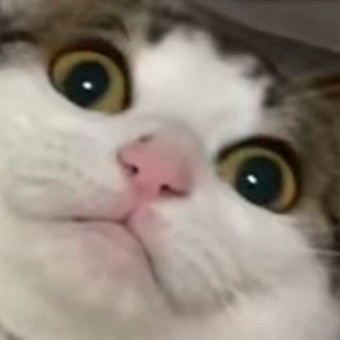Sam