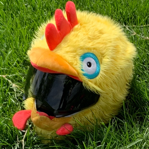 MotoChicken