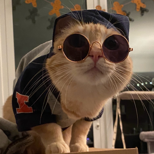 pepijt
