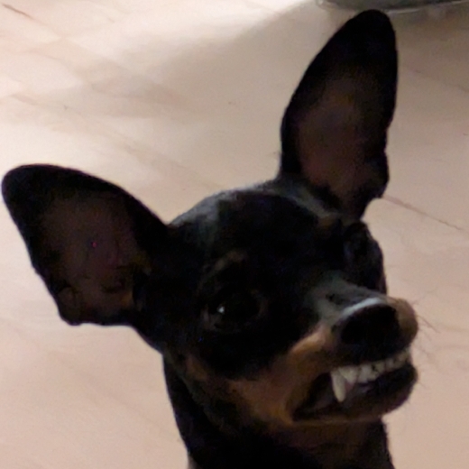 Benny3d
