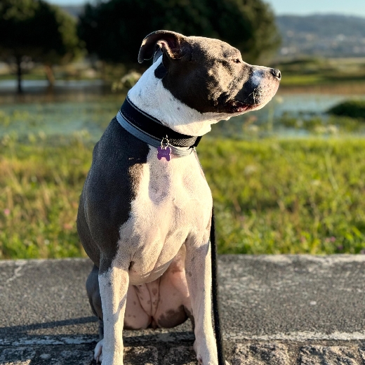 profile