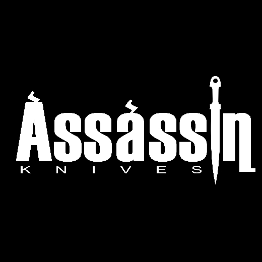 assasinscredo creator profile