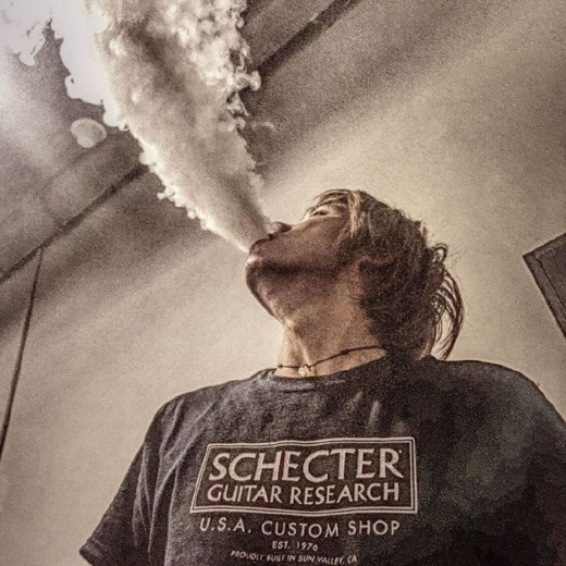 墙上的向日葵