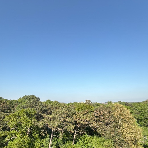 user_1970149605
