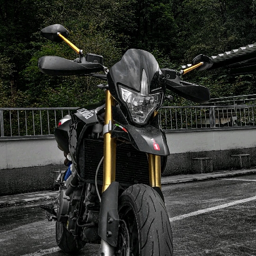 profile