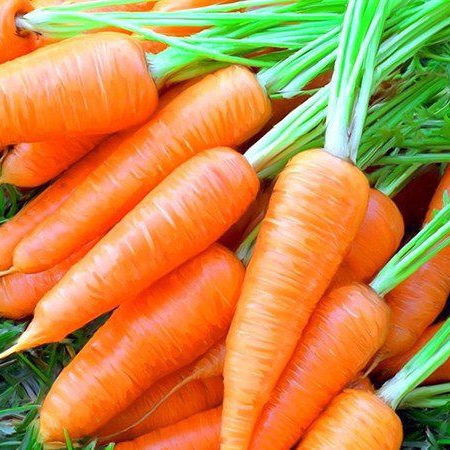 Carroaoaot