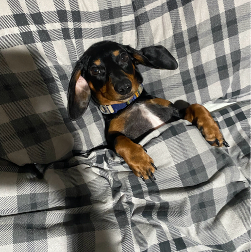 DUG