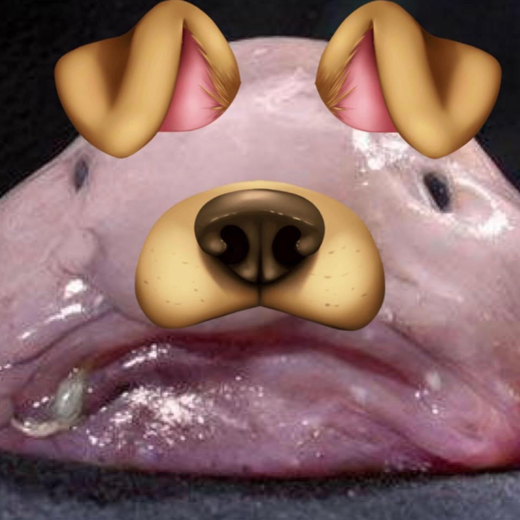 PeGaZ
