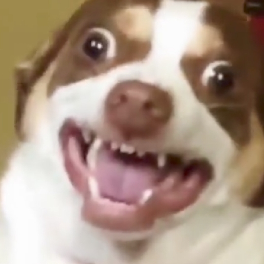 refflux