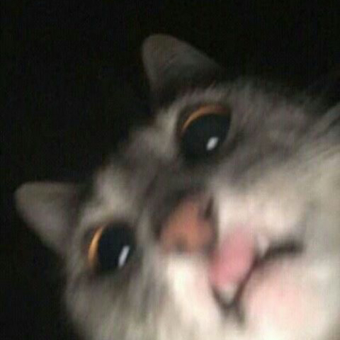 Thib_skr