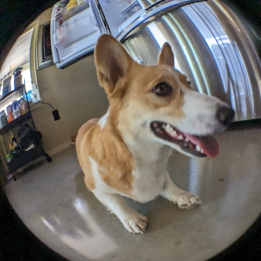 Emmitt