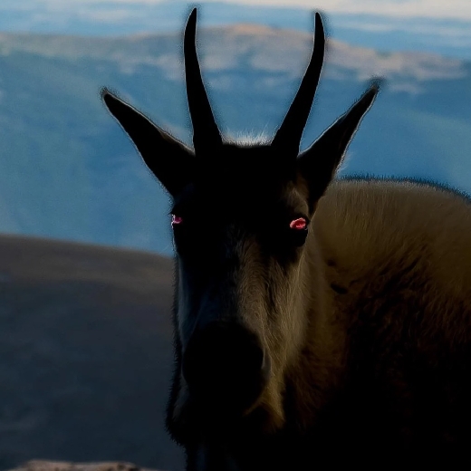 EvilsWay