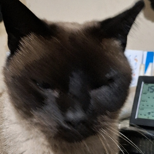 user_781234603