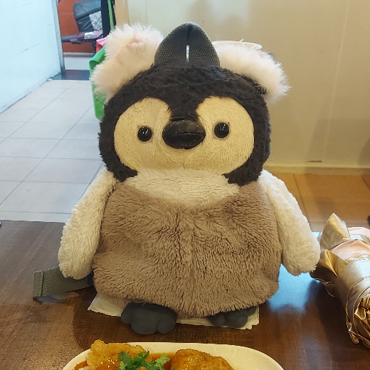 BabyPenguins