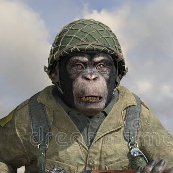CombatDork