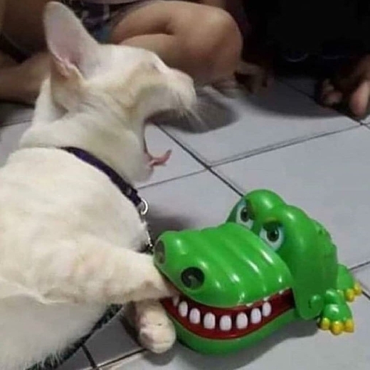 Wo0dsw0rth
