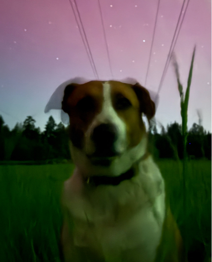 pugmiremichael4