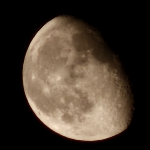 profile