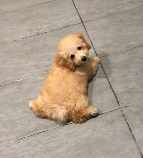 user_2903450074